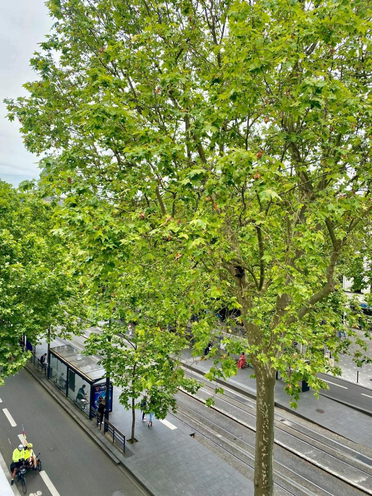 Apartmán Logement Hyper Centre Jean-Jaures Tours Exteriér fotografie